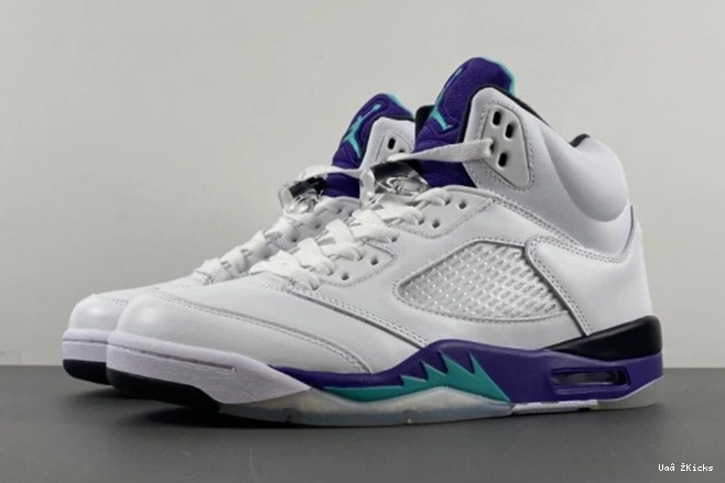  136027- Grape 547 1877 DailyWear Retro 5 Jordan 0630
